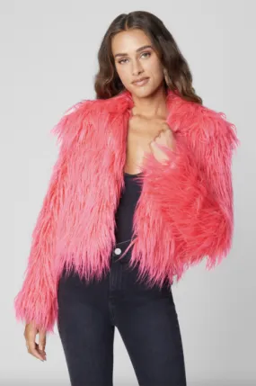 Jacket - High Key -